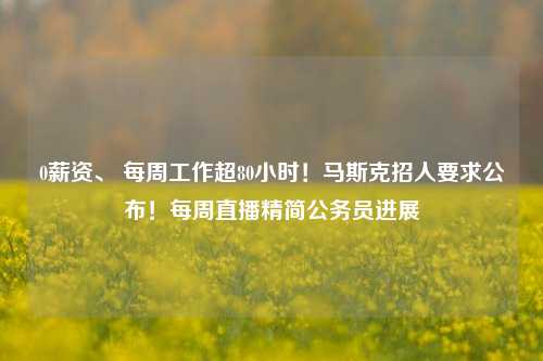 0薪资、 每周工作超80小时！马斯克招人要求公布！每周直播精简公务员进展