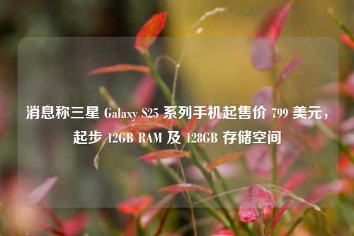 消息称三星 Galaxy S25 系列手机起售价 799 美元，起步 12GB RAM 及 128GB 存储空间