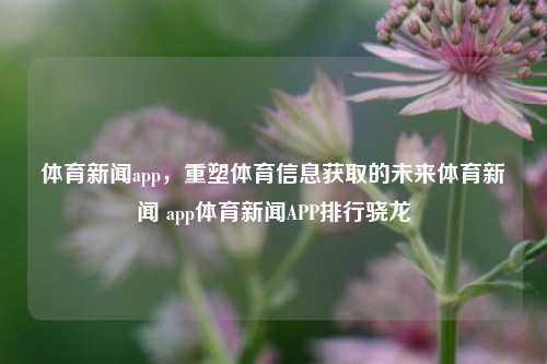 体育新闻app，重塑体育信息获取的未来体育新闻 app体育新闻APP排行骁龙