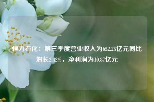 恒力石化：第三季度营业收入为652.25亿元同比增长2.42%，净利润为10.87亿元