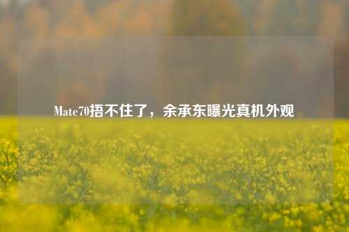 Mate70捂不住了，余承东曝光真机外观