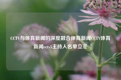 CCTV与体育新闻的深度融合