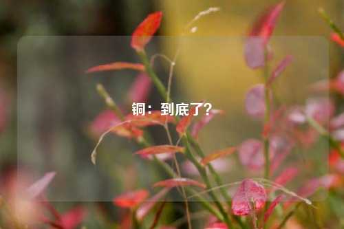 铜：到底了？