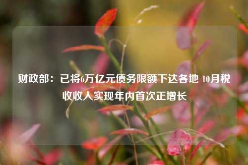 财政部：已将6万亿元债务限额下达各地 10月税收收入实现年内首次正增长