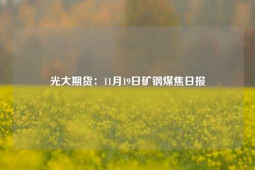 光大期货：11月19日矿钢煤焦日报