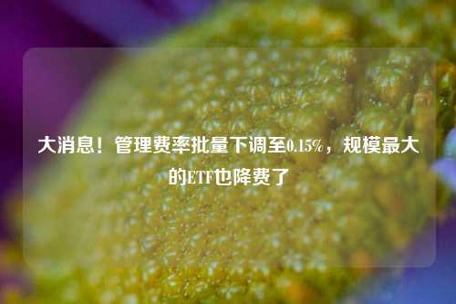 大消息！管理费率批量下调至0.15%，规模最大的ETF也降费了