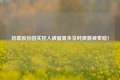 劲嘉股份因实控人被留置未及时披露被索赔！