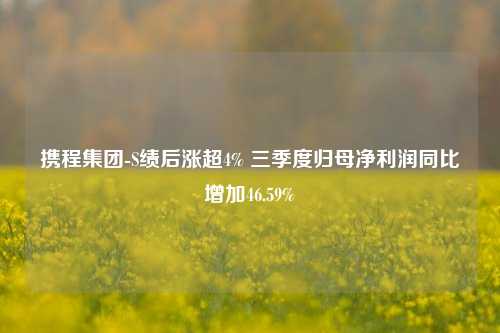 携程集团-S绩后涨超4% 三季度归母净利润同比增加46.59%