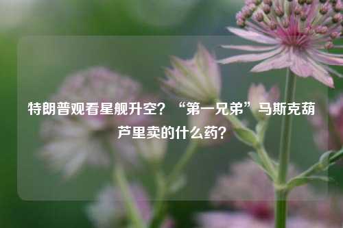 特朗普观看星舰升空？“第一兄弟”马斯克葫芦里卖的什么药？