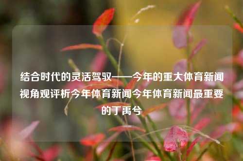 结合时代的灵活驾驭——今年的重大体育新闻视角观评析今年体育新闻今年体育新闻最重要的丁禹兮