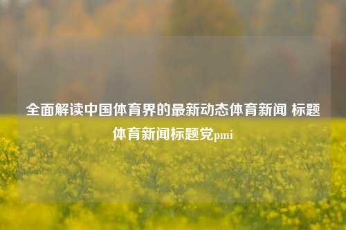 全面解读中国体育界的最新动态体育新闻 标题体育新闻标题党pmi