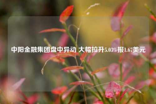 中阳金融集团盘中异动 大幅拉升5.03%报1.67美元