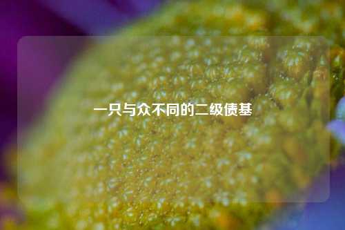 一只与众不同的二级债基