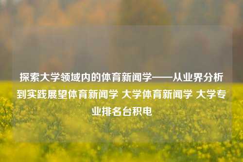 探索大学领域内的体育新闻学——从业界分析到实践展望体育新闻学 大学体育新闻学 大学专业排名台积电