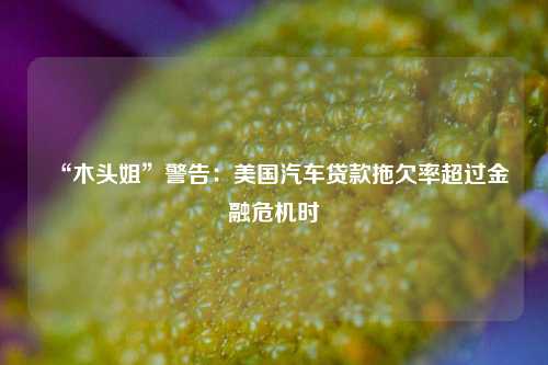 “木头姐”警告：美国汽车贷款拖欠率超过金融危机时