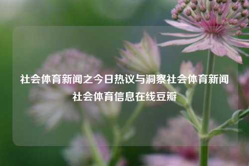 社会体育新闻热议与洞察