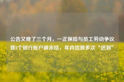 公告又晚了三个月，一正保险与员工劳动争议致8个银行账户被冻结，年内信披多次“迟到”