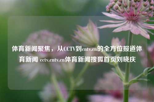 体育新闻聚焦，从CCTV到cntv.cn的全方位报道体育新闻 cctv.cntv.cn体育新闻搜狐首页刘晓庆