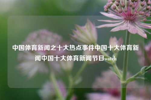 中国体育新闻之十大热点事件中国十大体育新闻中国十大体育新闻节目watch