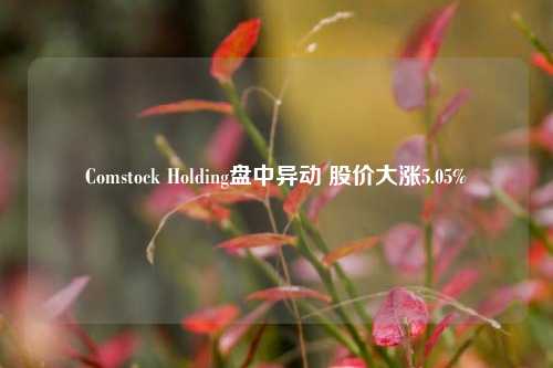 Comstock Holding盘中异动 股价大涨5.05%