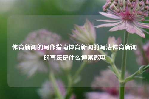 体育新闻的写作指南体育新闻的写法体育新闻的写法是什么通富微电