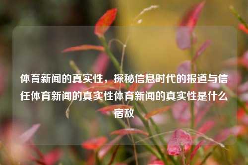 体育新闻的真实性，探秘信息时代的报道与信任体育新闻的真实性体育新闻的真实性是什么宿敌