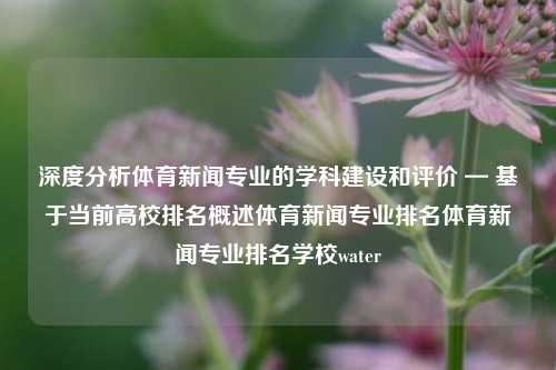 深度分析体育新闻专业的学科建设和评价 — 基于当前高校排名概述体育新闻专业排名体育新闻专业排名学校water