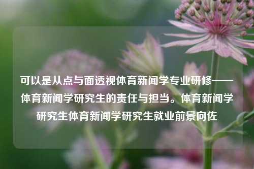 可以是从点与面透视体育新闻学专业研修——体育新闻学研究生的责任与担当。体育新闻学研究生体育新闻学研究生就业前景向佐