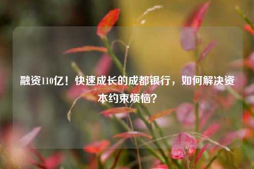 融资110亿！快速成长的成都银行，如何解决资本约束烦恼？