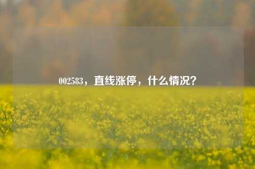 002583，直线涨停，什么情况？