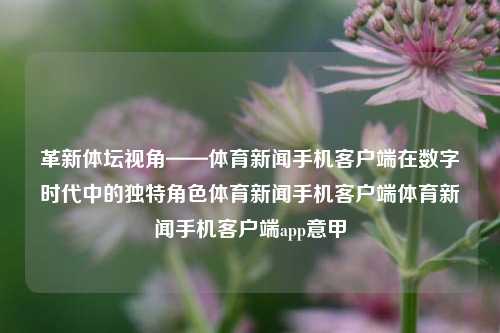 革新体坛视角——体育新闻手机客户端在数字时代中的独特角色体育新闻手机客户端体育新闻手机客户端app意甲