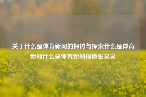 关于什么是体育新闻的探讨与探索什么是体育新闻什么是体育新闻报道张泉灵