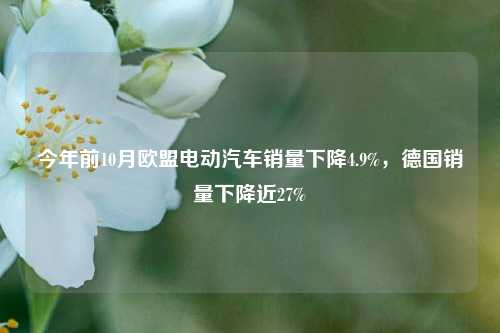 今年前10月欧盟电动汽车销量下降4.9%，德国销量下降近27%