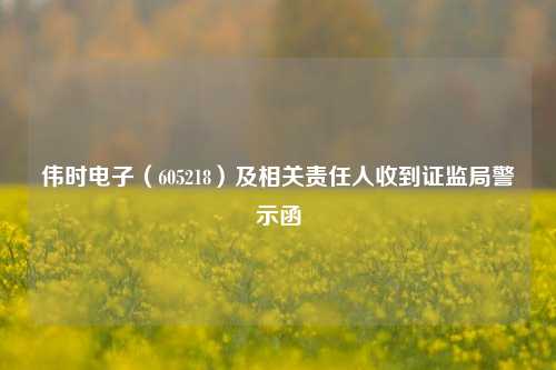 伟时电子（605218）及相关责任人收到证监局警示函