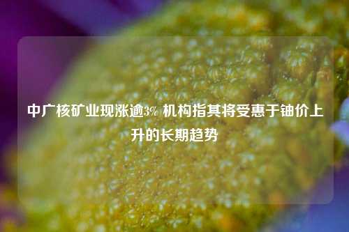 中广核矿业现涨逾3% 机构指其将受惠于铀价上升的长期趋势