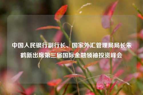 中国人民银行副行长、国家外汇管理局局长朱鹤新出席第三届国际金融领袖投资峰会