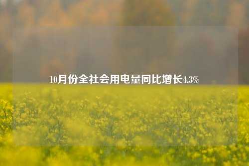 10月份全社会用电量同比增长4.3%