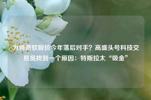 为何微软股价今年落后对手？高盛头号科技交易员找到一个原因：特斯拉太“吸金”