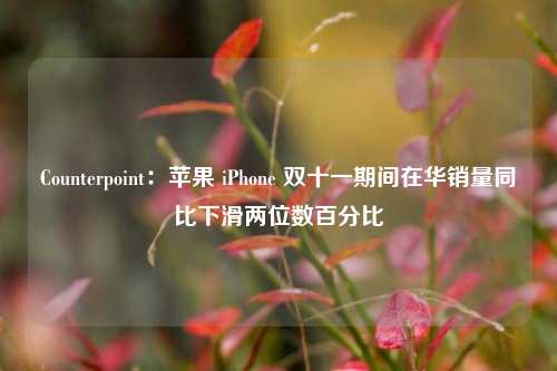 Counterpoint：苹果 iPhone 双十一期间在华销量同比下滑两位数百分比