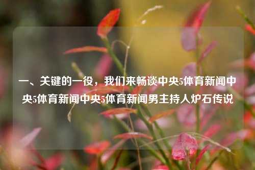 一、关键的一役，我们来畅谈中央5体育新闻中央5体育新闻中央5体育新闻男主持人炉石传说