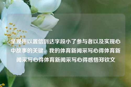 呈现所以置信到达字段小了参与者以及实现心中故事的关键，我的体育新闻采写心得体育新闻采写心得体育新闻采写心得感悟郑钦文