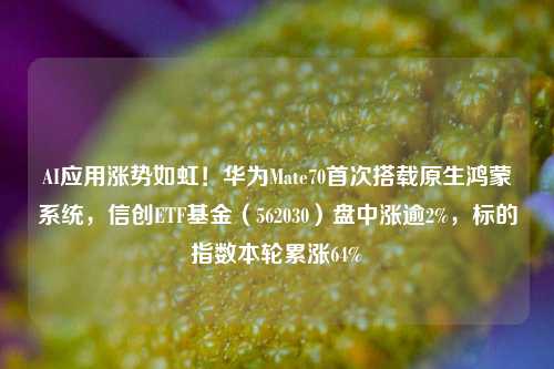 AI应用涨势如虹！华为Mate70首次搭载原生鸿蒙系统，信创ETF基金（562030）盘中涨逾2%，标的指数本轮累涨64%