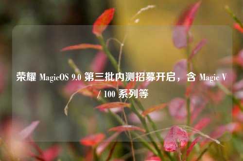 荣耀 MagicOS 9.0 第三批内测招募开启，含 Magic V / 100 系列等