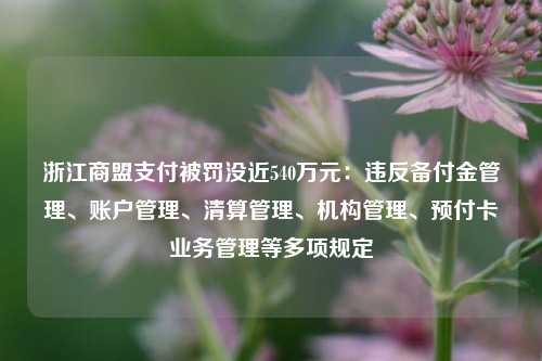 浙江商盟支付被罚没近540万元：违反备付金管理、账户管理、清算管理、机构管理、预付卡业务管理等多项规定