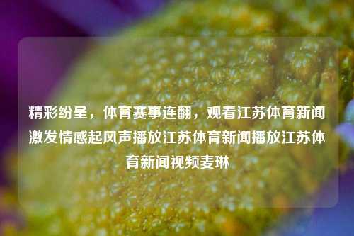 精彩纷呈，体育赛事连翻，观看江苏体育新闻激发情感起风声播放江苏体育新闻播放江苏体育新闻视频麦琳