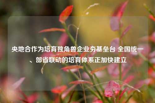 央地合作为培育独角兽企业夯基垒台 全国统一、部省联动的培育体系正加快建立