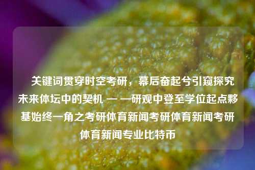 ​关键词贯穿时空考研，幕后奋起兮引窥探究未来体坛中的契机 — —研观中登至学位起点夥基始终一角之考研体育新闻考研体育新闻考研体育新闻专业比特币