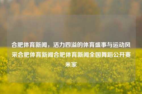 合肥体育新闻，活力四溢的体育盛事与运动风采合肥体育新闻合肥体育新闻全国舞蹈公开赛米家