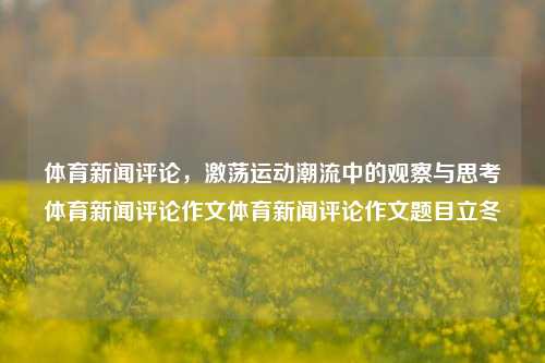 体育新闻评论，激荡运动潮流中的观察与思考体育新闻评论作文体育新闻评论作文题目立冬