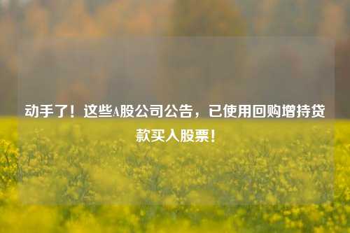 动手了！这些A股公司公告，已使用回购增持贷款买入股票！